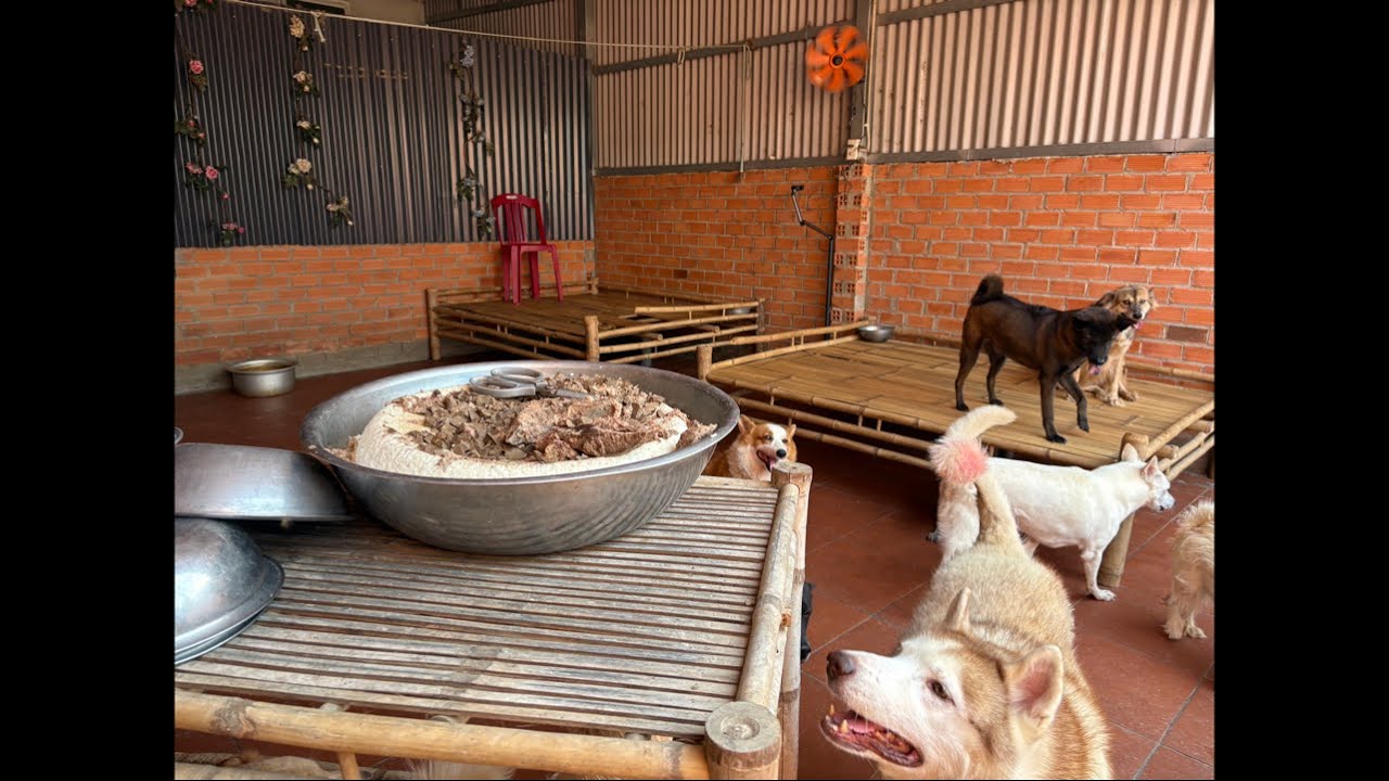 Trọng Cà Mau đang phát trực tiếp!