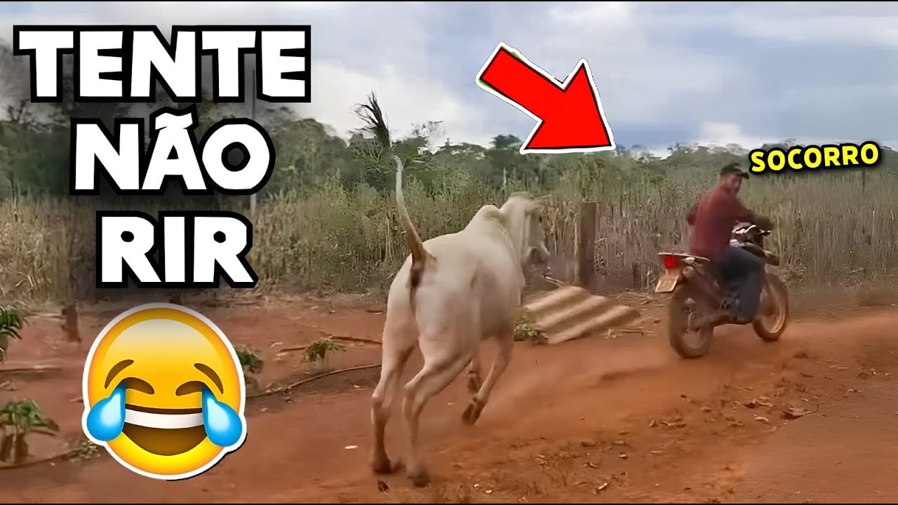 TENTE NÃO RIR 😂 OS MEMES MAIS ENGRAÇADOS DA INTERNET#videosengracados #tentenaorir #memes #comedia
