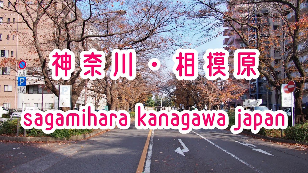 KANAGAWA WALK 神奈川・相模原の街並み sagamihara kanagawa japan