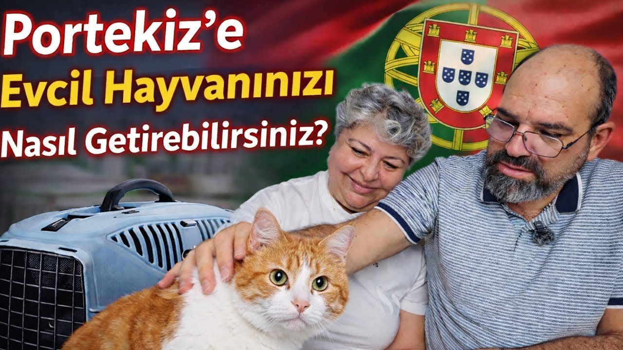 Portekiz’e Evcil Hayvanınızı Nasıl Getirebilirsiniz? Ablamla Tüm Detayları Konuştuk |  🇵🇹