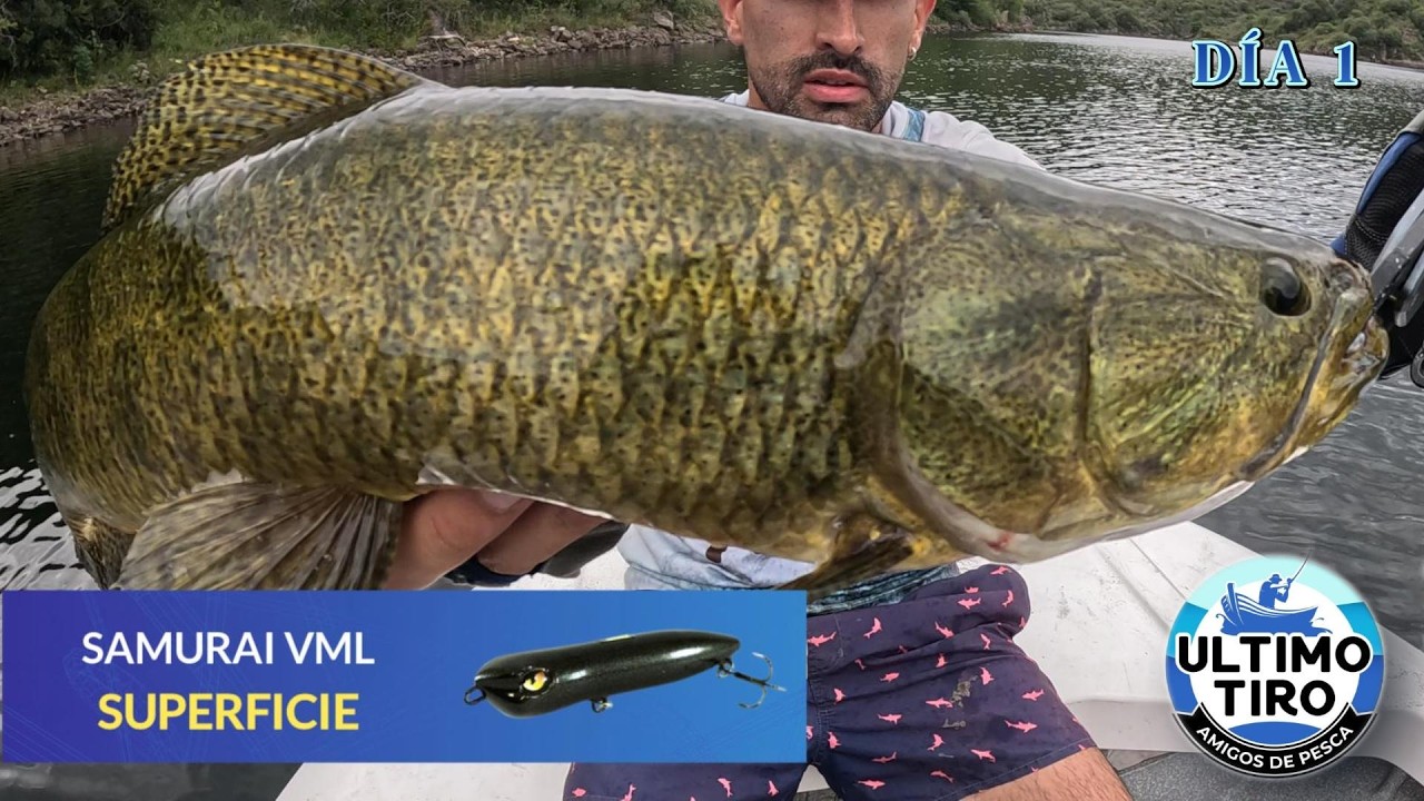 ¡Primer día en Córdoba y ya salieron TARARIRAS! Pesca con señuelos en Cerro Pelado