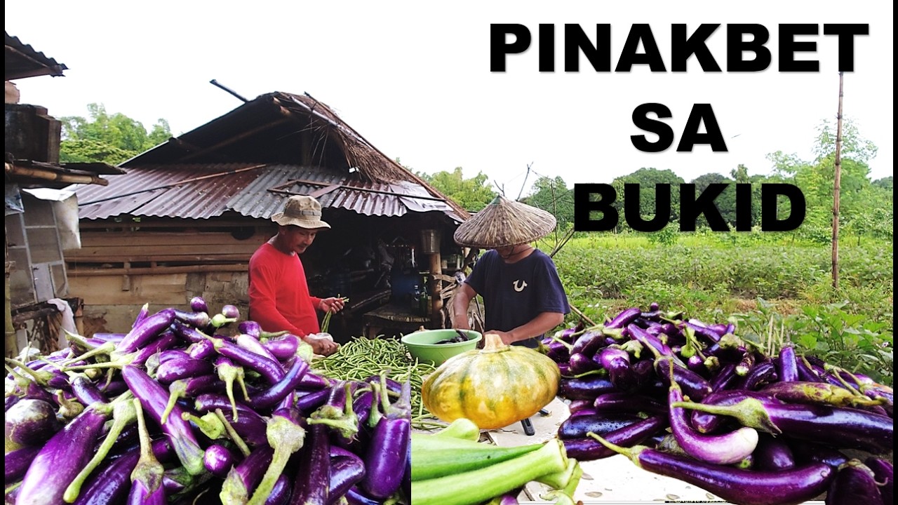 Pinakbet | Simple life in the Countryside, Harvesting, Farming and Cooking