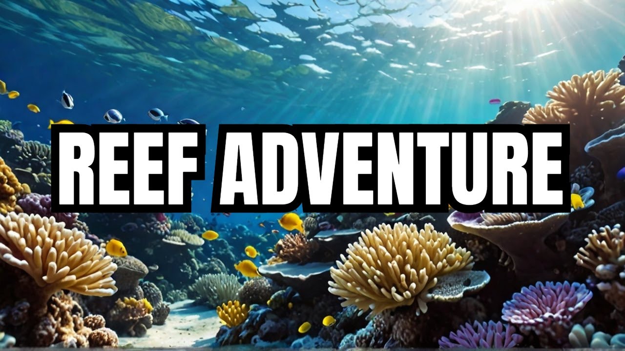 Exploring the Wonders of the Great Barrier Reef | The Great Barrier Reef