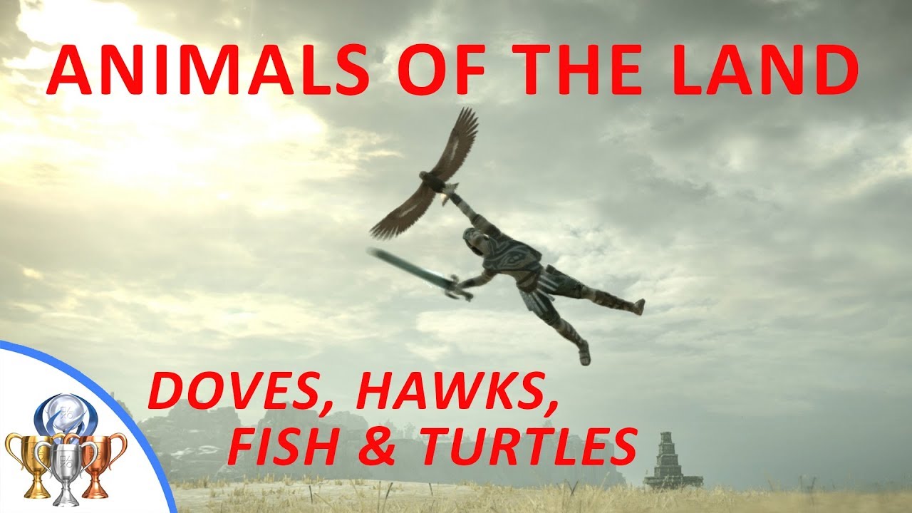 Shadow of the Colossus PS4 Remake - Animals of the Land (Dove, Hawk, Fish & Turtles)