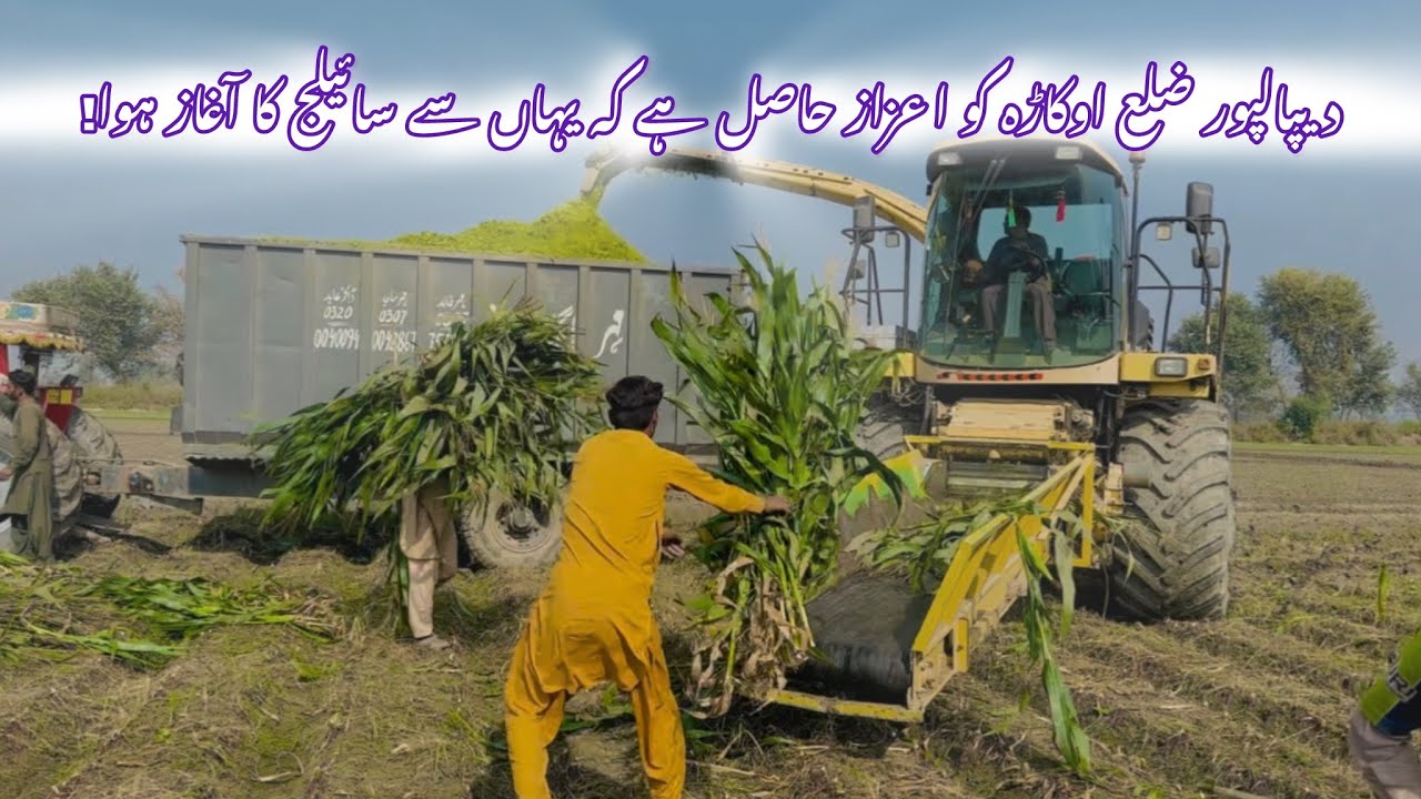 Silage Machine Story: How Depalpur, Okara Became Pakistan’s Silage Pioneer (Since 1999)