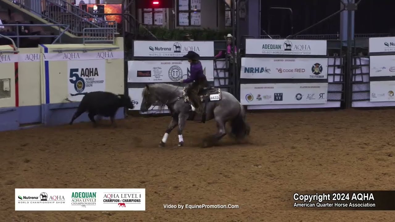 Select Working Cow Horse - 2024 AQHA World Championship Show