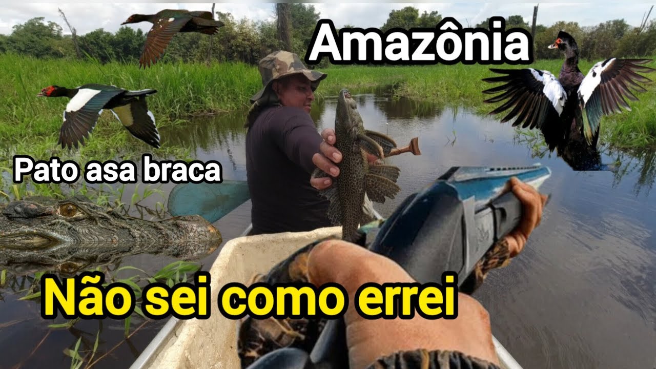 #Amazônia- pescaria com malhadeira com uma caldeirada dentro da canoa 