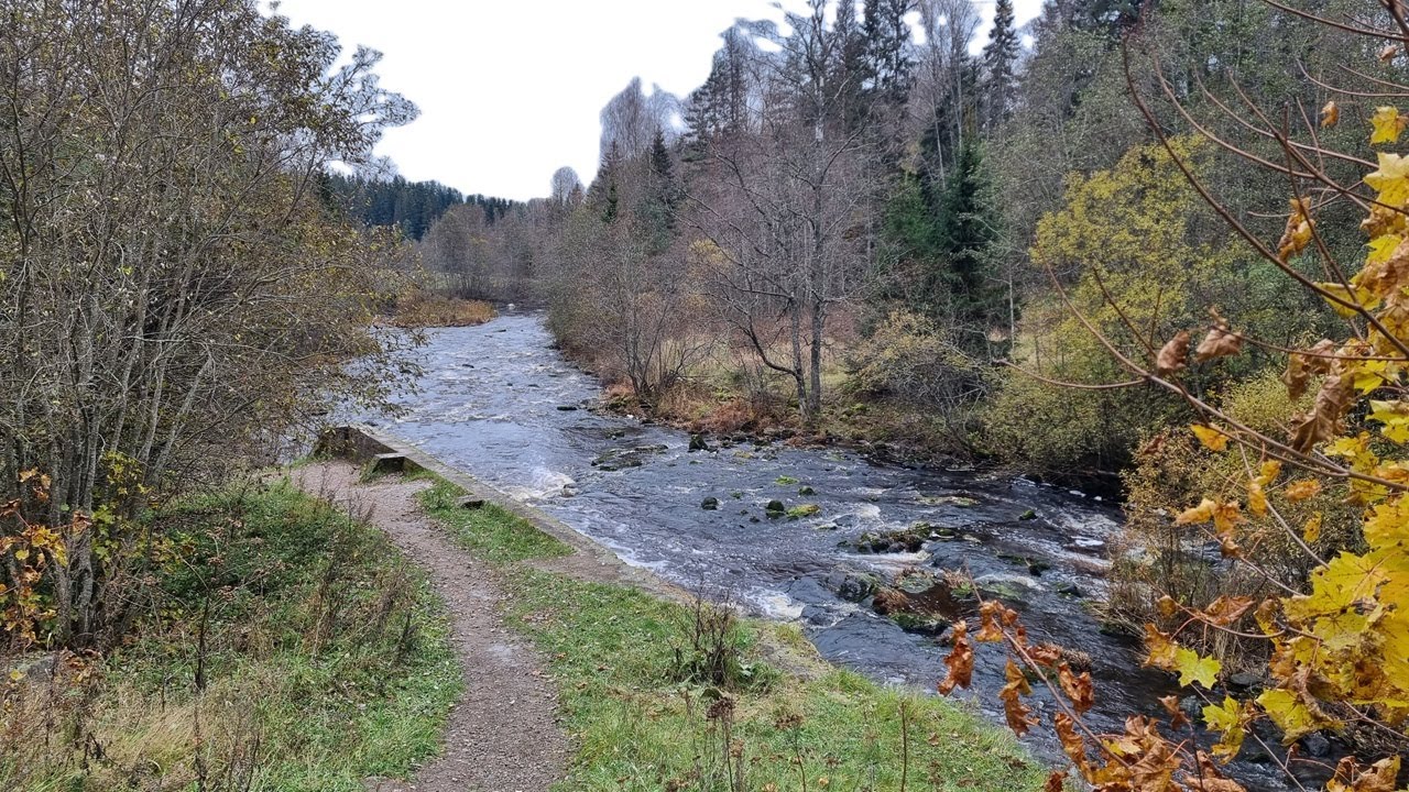 Asiaa kalastuksesta Vantaanjoella ja vähän muutakin.