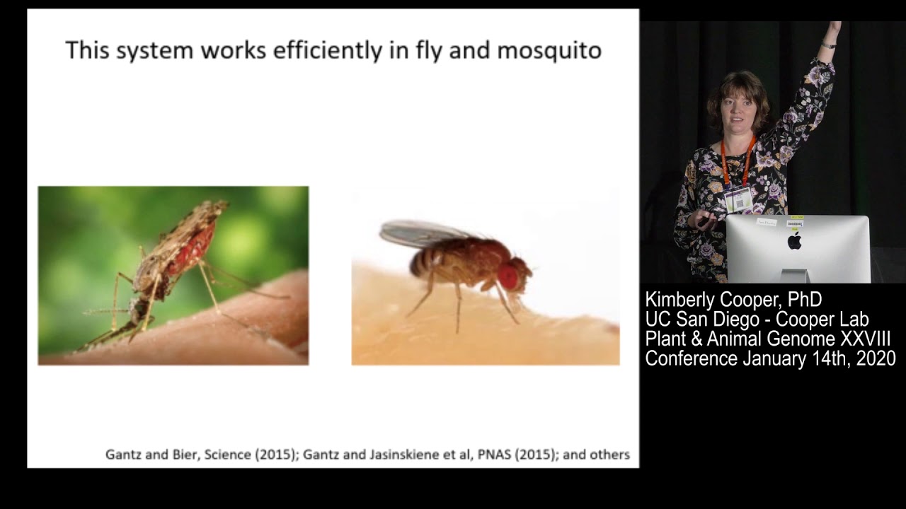 PAG XXVIII Plenary Talk - Kimberly Cooper