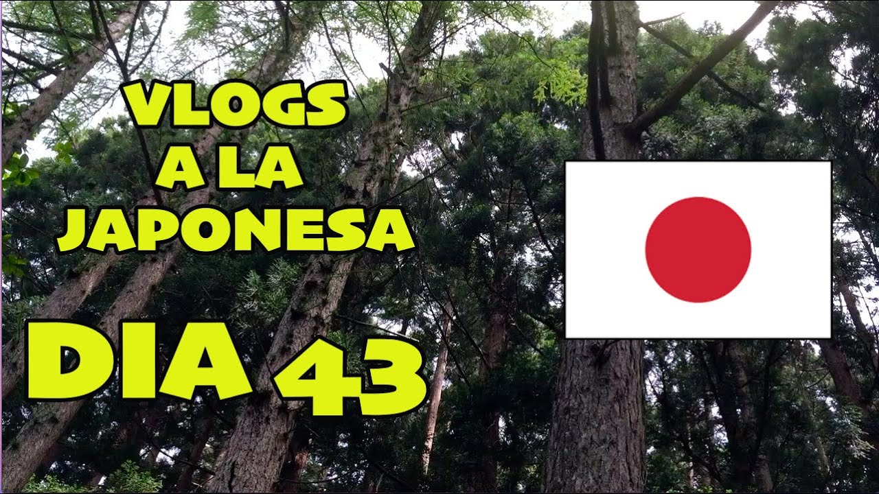 DSR el Rey + Terror en el Bosque  JAPON - Ruthi San ♡ 06-06-15