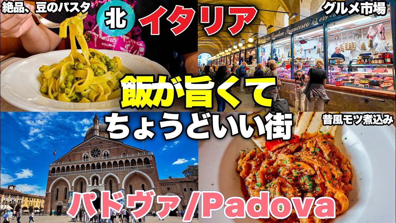 【飯ウマ🍽️】北イタリア　飯が旨くてバランスのいい街　パドヴァが最高だった件〜Italy in Padova grumet city Trattoria dal Capo〜