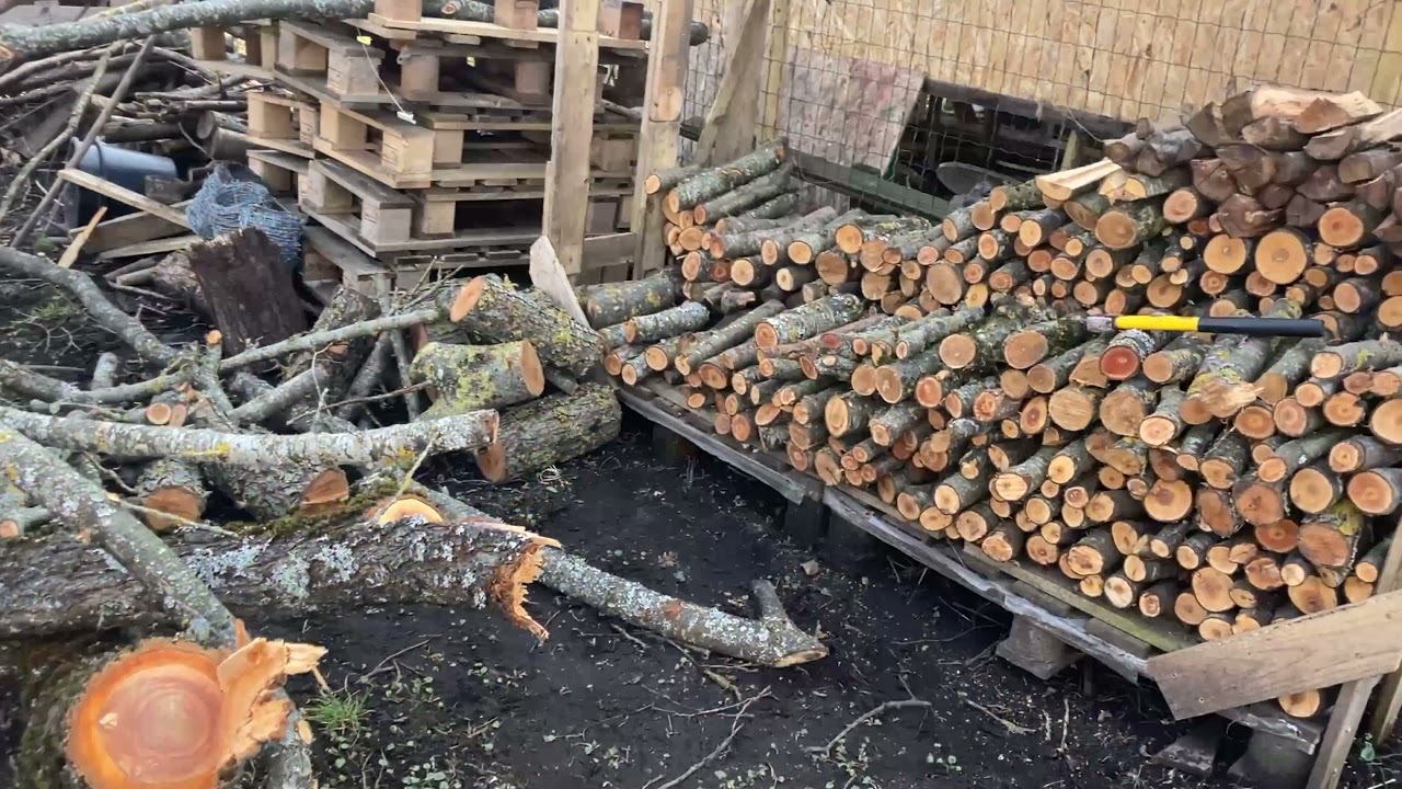 Skaldām un rokam.