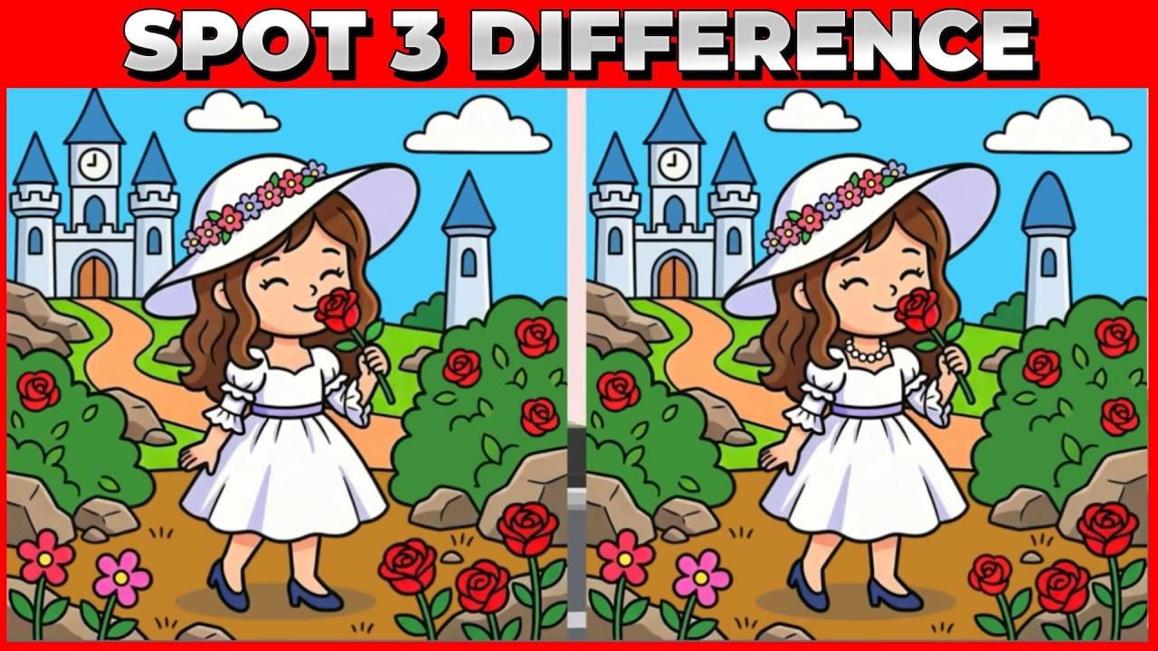 Most People Miss the Last Difference 😲 | Find the 3 Differences | Dream Line Studio 9
