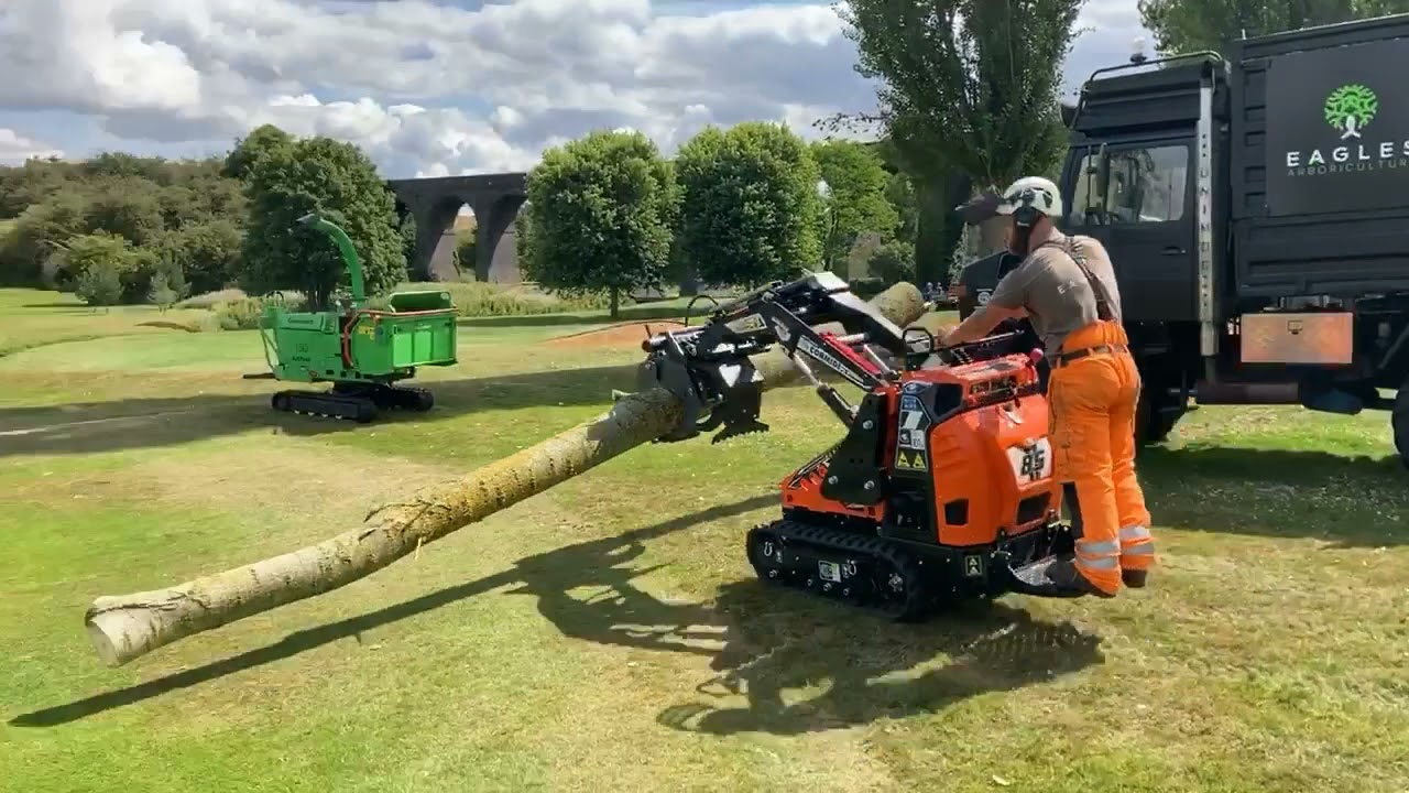 Cormidi C85 Demo