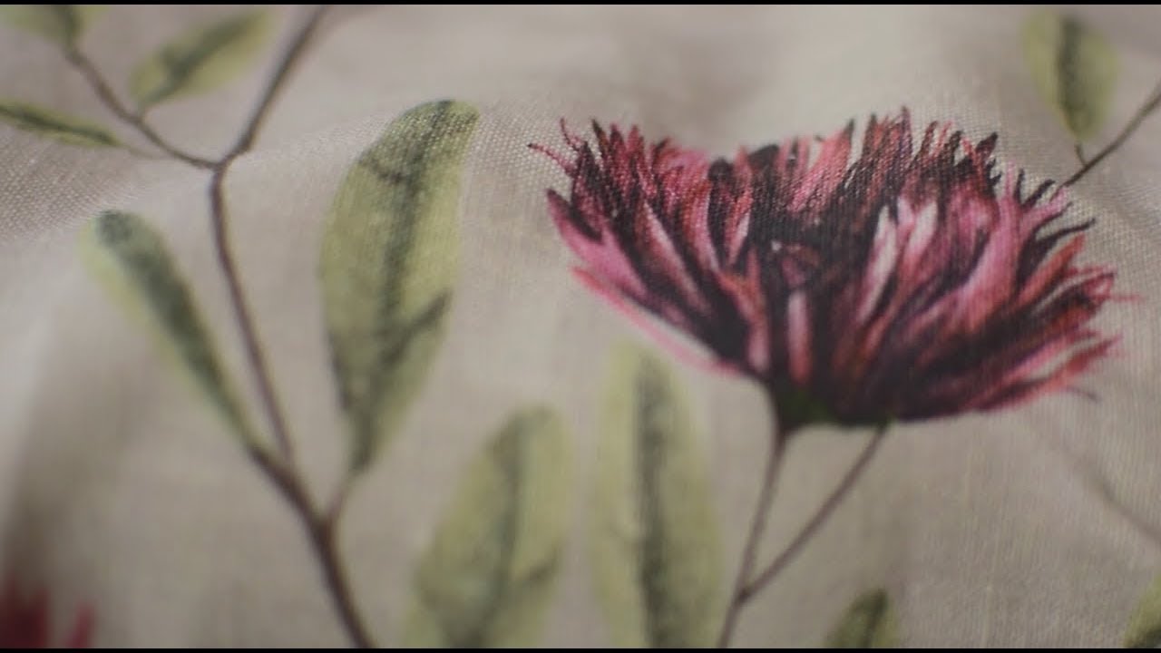 Unfolding a Tale of Springtime with 'Chrysanthemums & Sparrows'