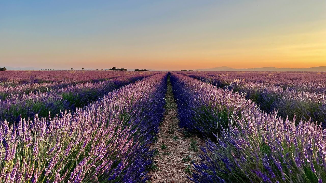 Valensole - France #Plateau de Valensole