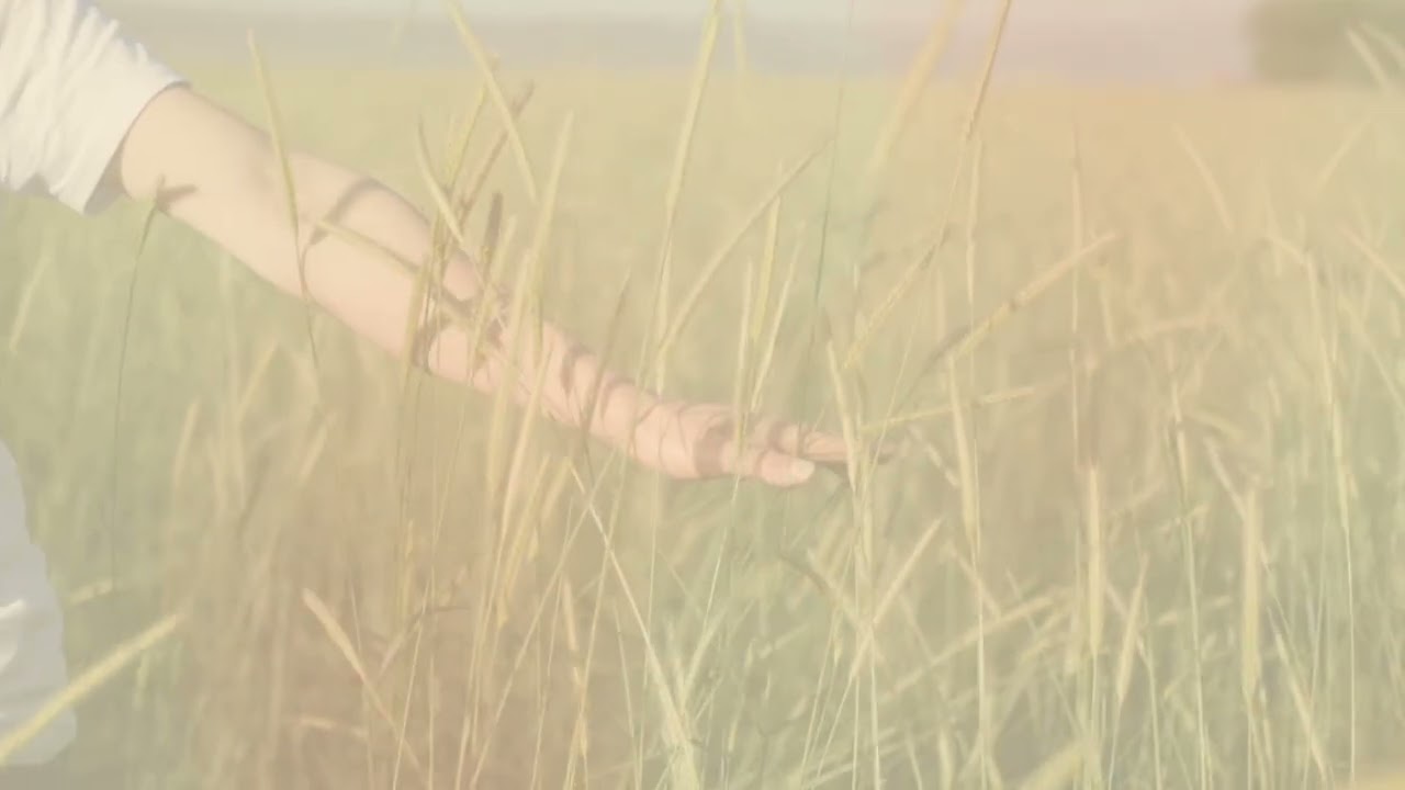 Maghintay ka lamang | Zephanie Male Version