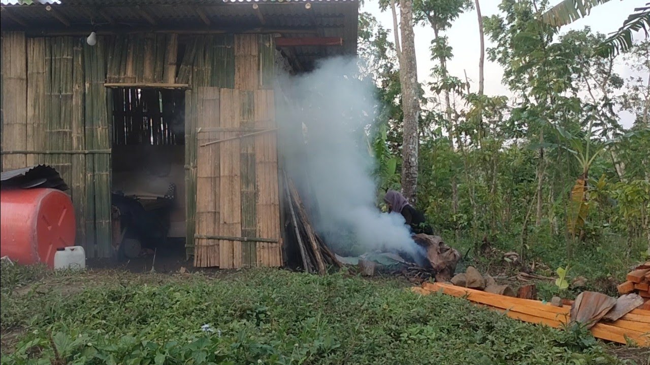 Bakar Ikan Di Hutan Nikmatnya Makan bersama
