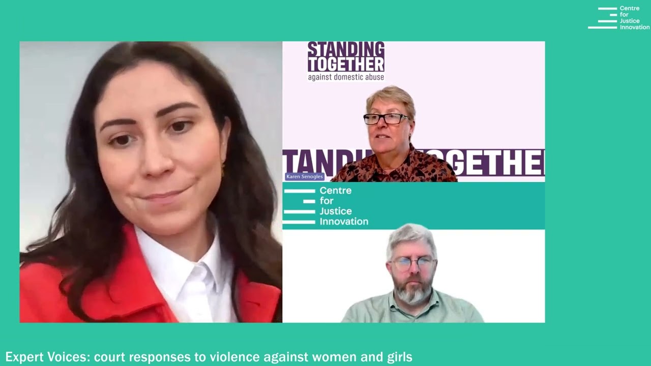 Expert Voices: court responses to violence against women and girls