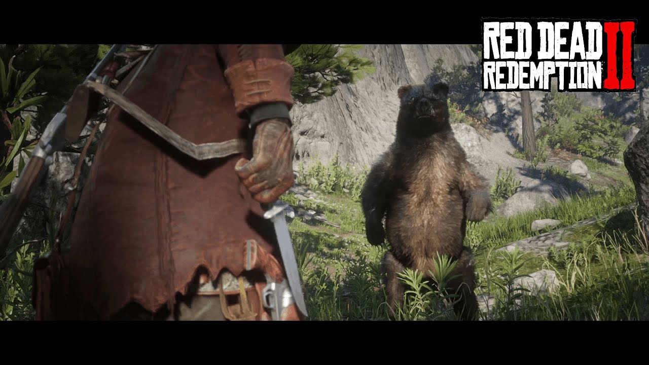 Polowanie na MISIA! | Red Dead Redemption II [#6]