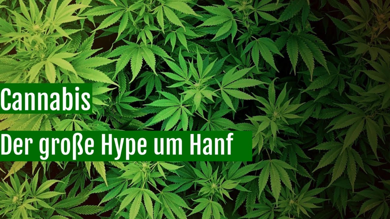 Cannabis: Der gro&szlig;e Hype um Hanf | Doku | ARTE 2019