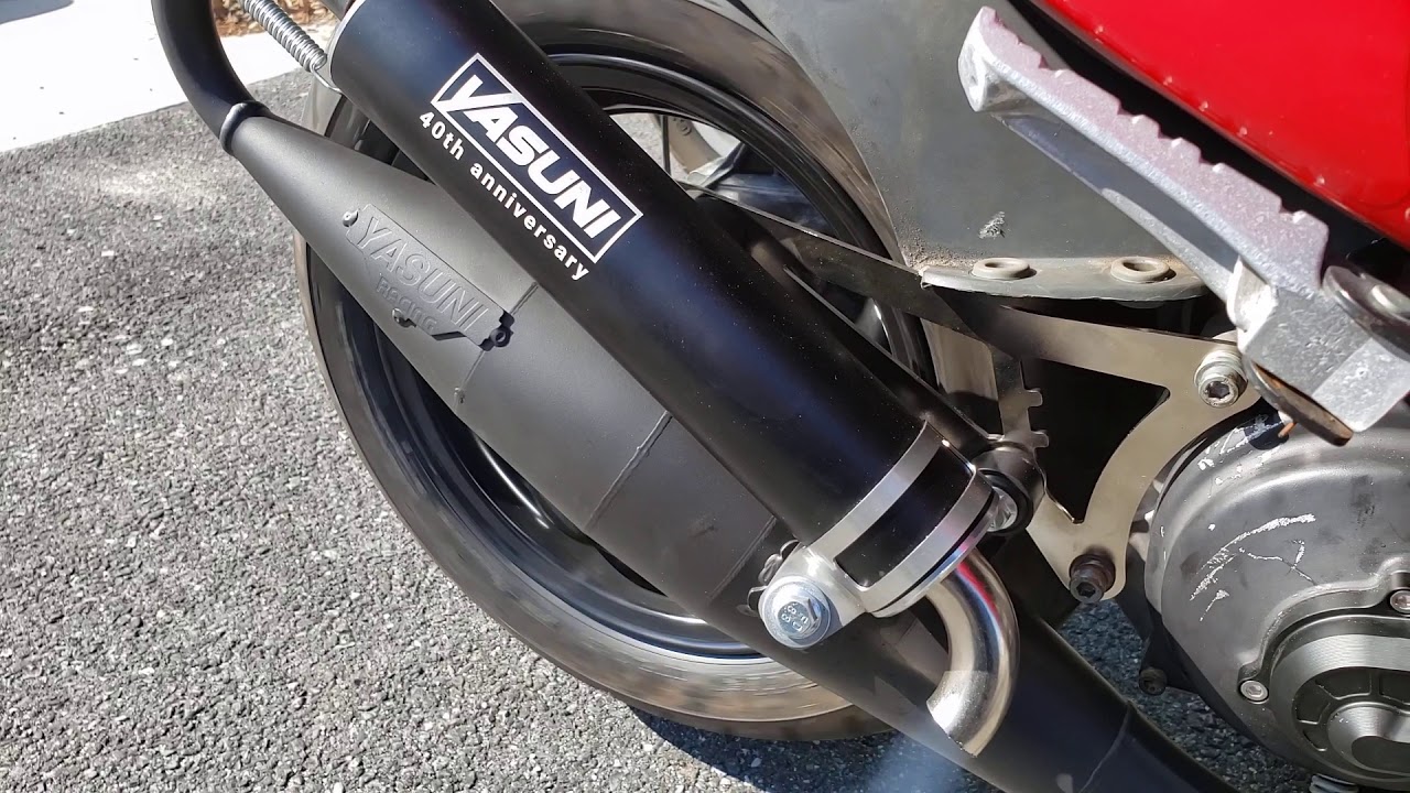 Yasuni R Malaguti F12