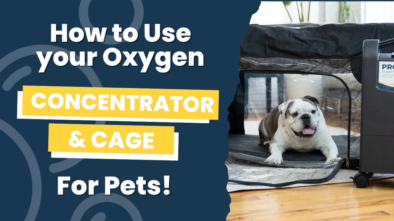 How To Use A Pet Oxygen Concentrator and Oxygen Cage