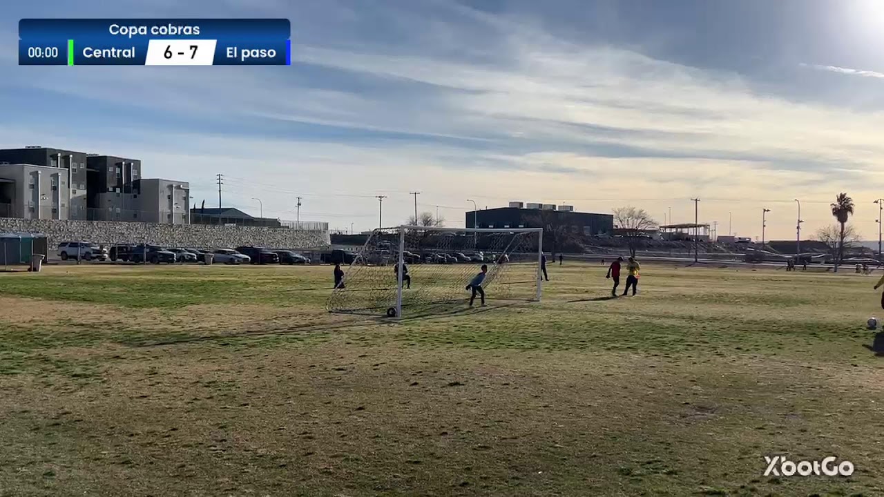 Copa cobras
