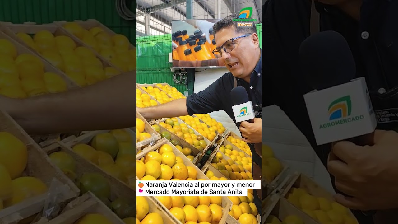 Desde Mercado Mayorista de Santa Anita: Frutales frescos y a buen precio
