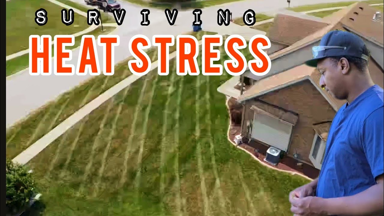 Surviving HEAT STRESS