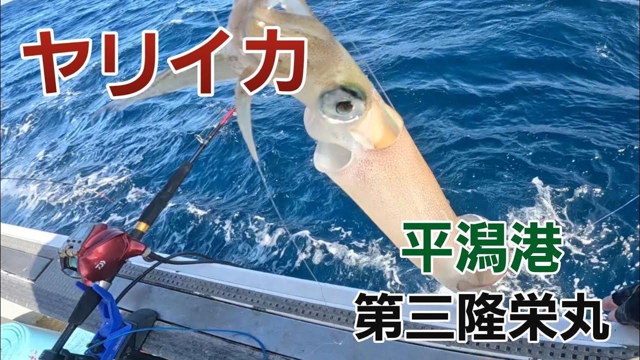 【ヤリイカ】平潟港　第三隆栄丸　2024/2/4