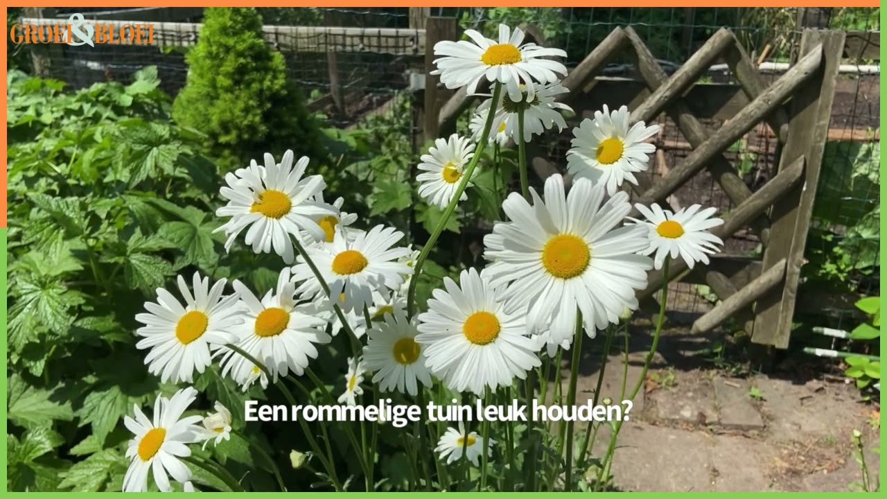 Groei & Bloei OpentuinTV: In elke tuin een boom!