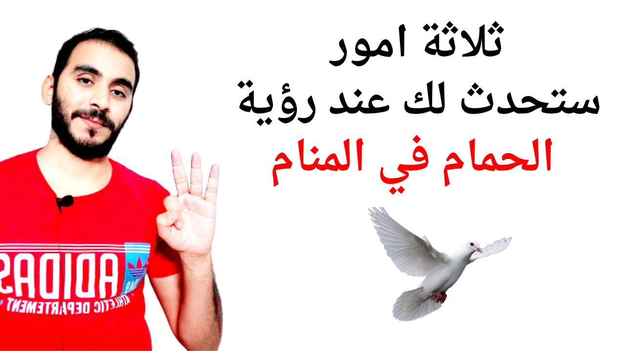 ستندهش عندما تعرف ما الذي سيحدث لحياتك عند رؤية الحمام في المنام