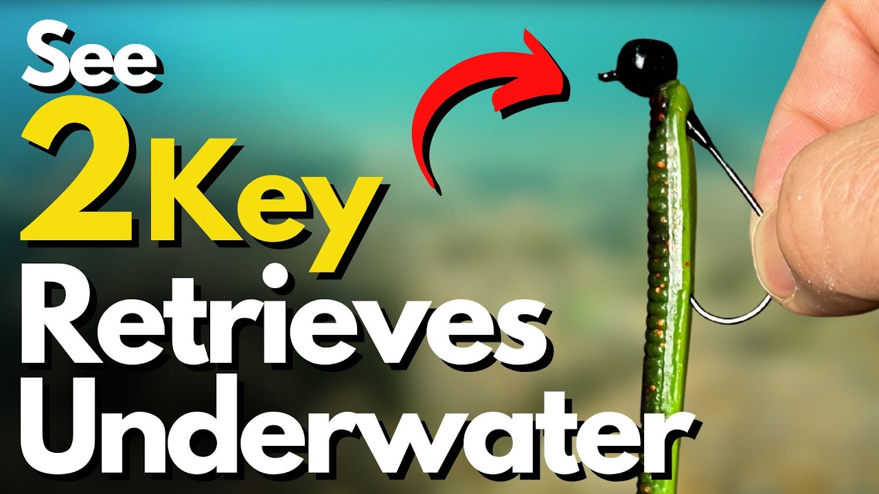 Master These 2 Shaky Head Retrieves For More Bass (Side-by-Side Comparison)