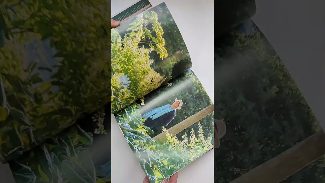 Книга Venetian Gardens (Венецианские сады)