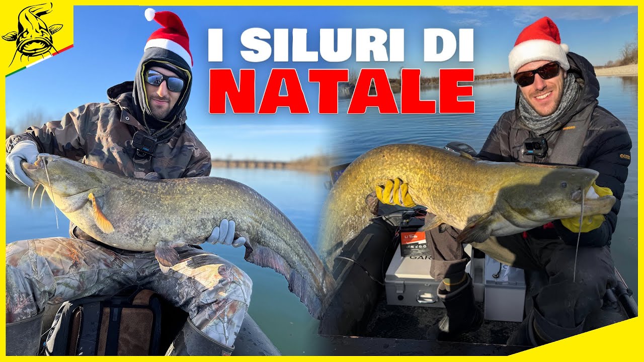 I SILURI di Natale! (Pesca a VERTICAL DAL GOMMONE)