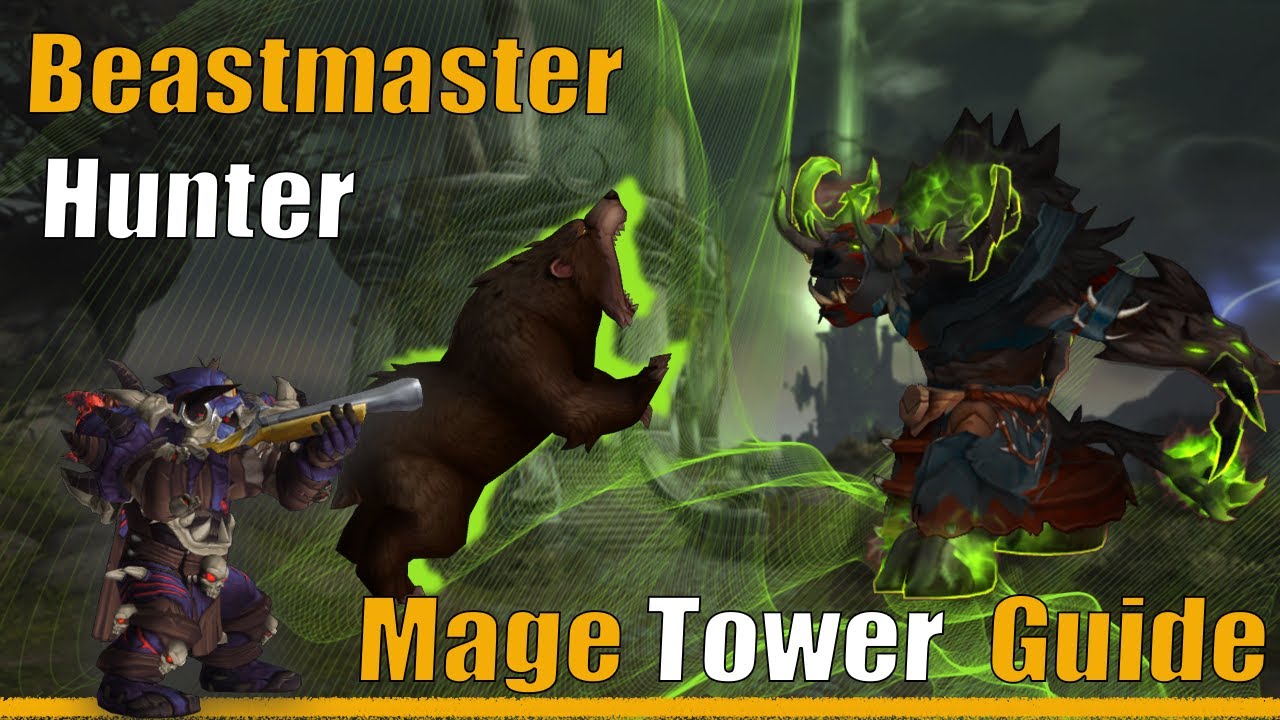 Fast & Easy BM Hunter Mage Tower Guide | Feltotem's Fall DPS Challenge Dragonflight