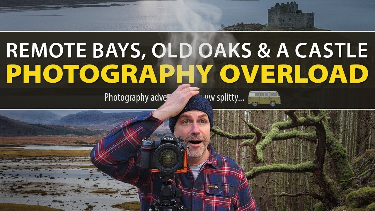 Remote Bays, Ancient Oaks and a Highland Castle. Photography overload on Scotland's West Coast