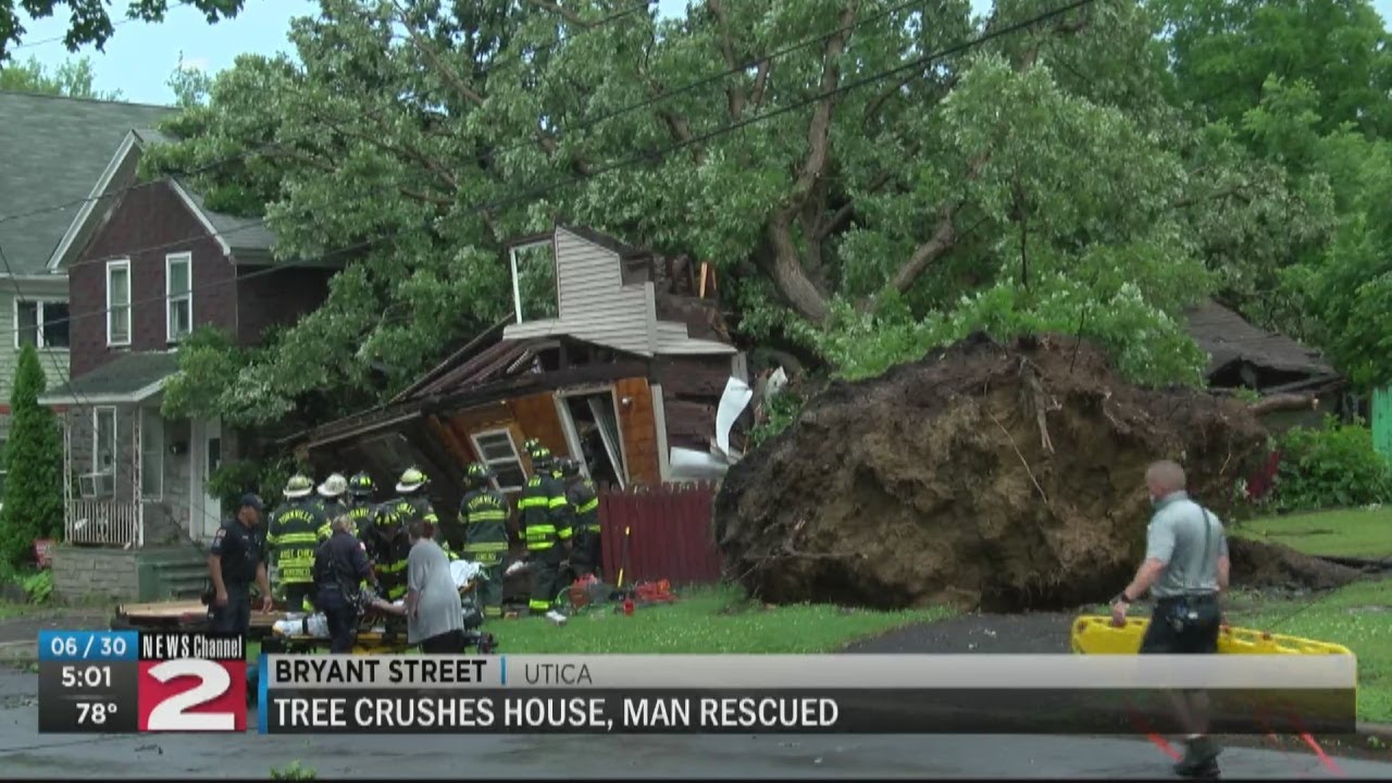 House crushed by tree in West Utica