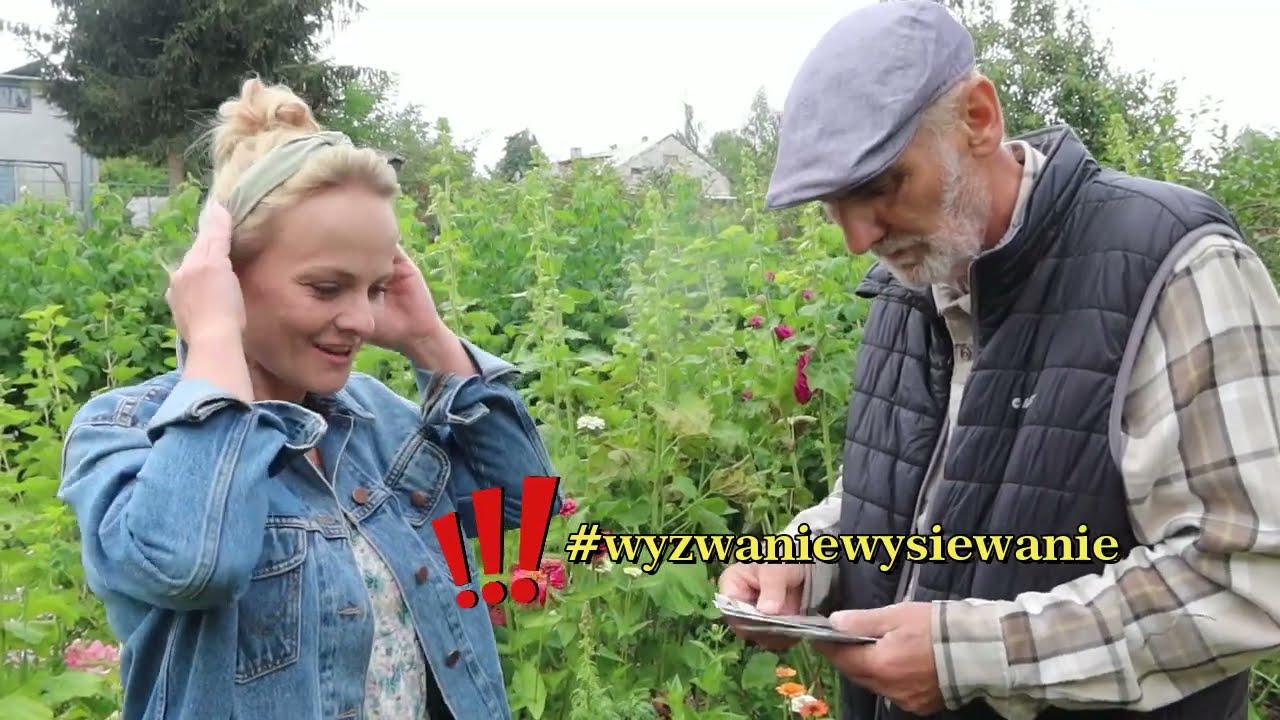 Wysiew kwiatów dwuletnich i wieloletnich