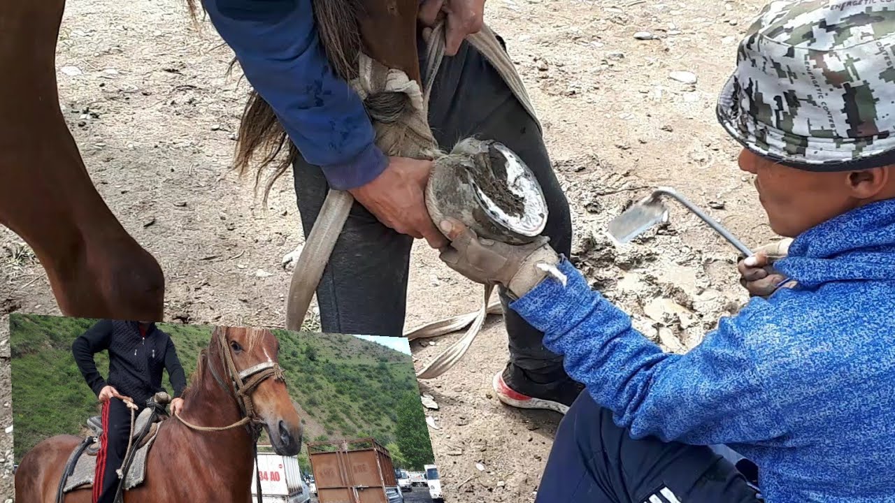 🔨Өтө ылдам ТАКАЧЫ~ЖЫЛКЫ🐎Мал базар Алай~07.06.19 КАНАЛГА КАТТАЛ