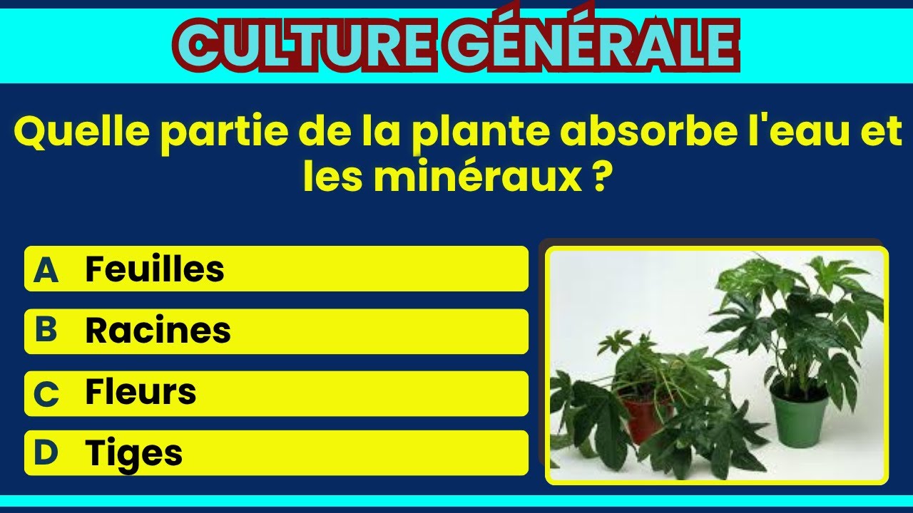 10 questions pour tester vos connaissances 🎓🔍🧐 | Quiz de Culture Générale