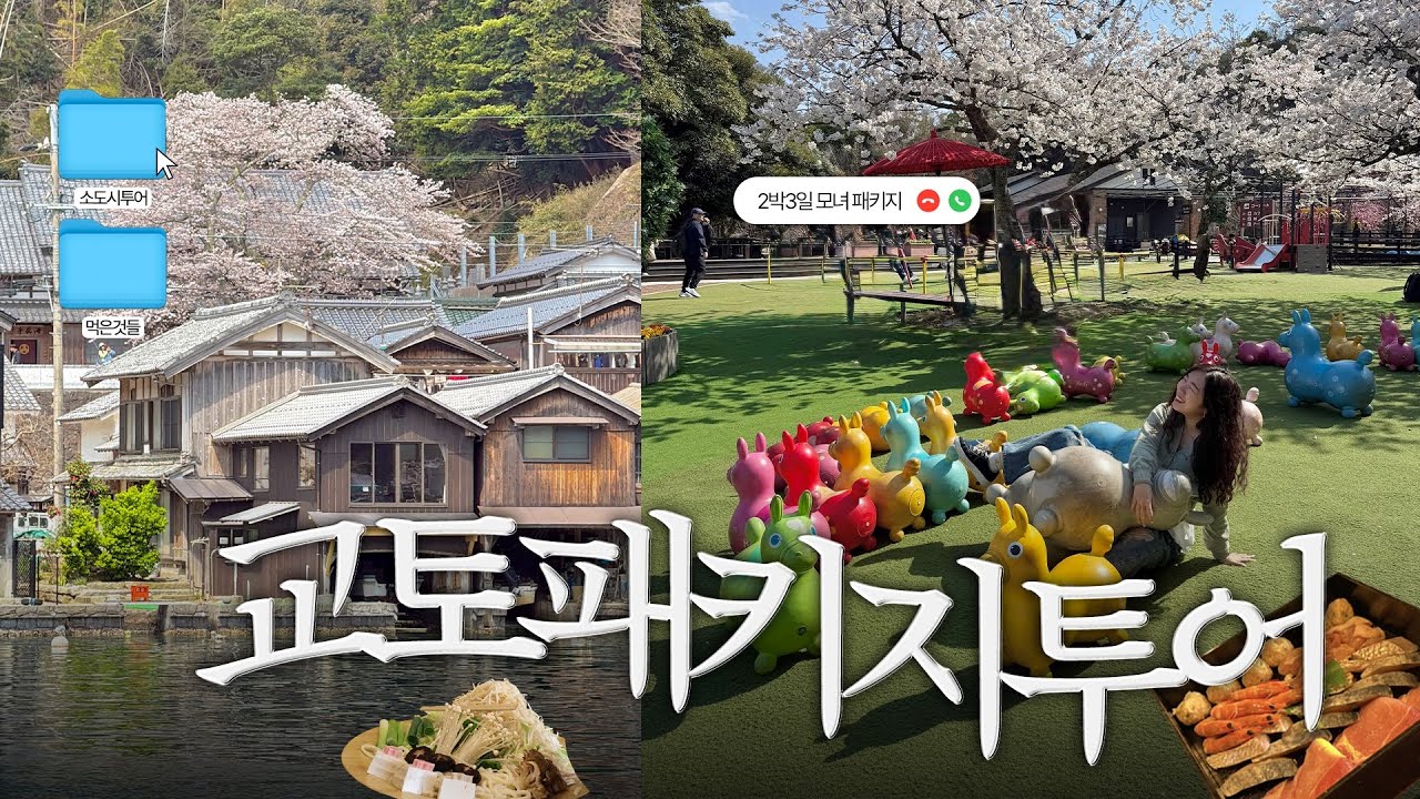 교토 2박3일 벚꽃여행🌸 교토 소도시 패키지 모녀 투어?!✨ 25년 교토 벚꽃 명소 추천🍥 이네후나야 소도시 여행