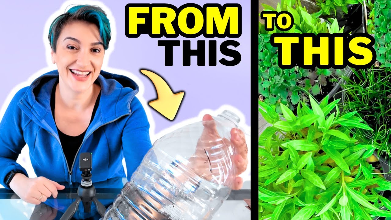 The ULTIMATE Winter Sowing Guide: Start Now!