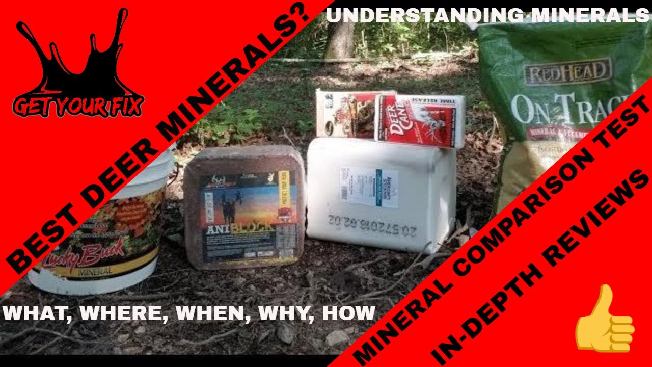 Deer mineral comparison test | best deer minerals