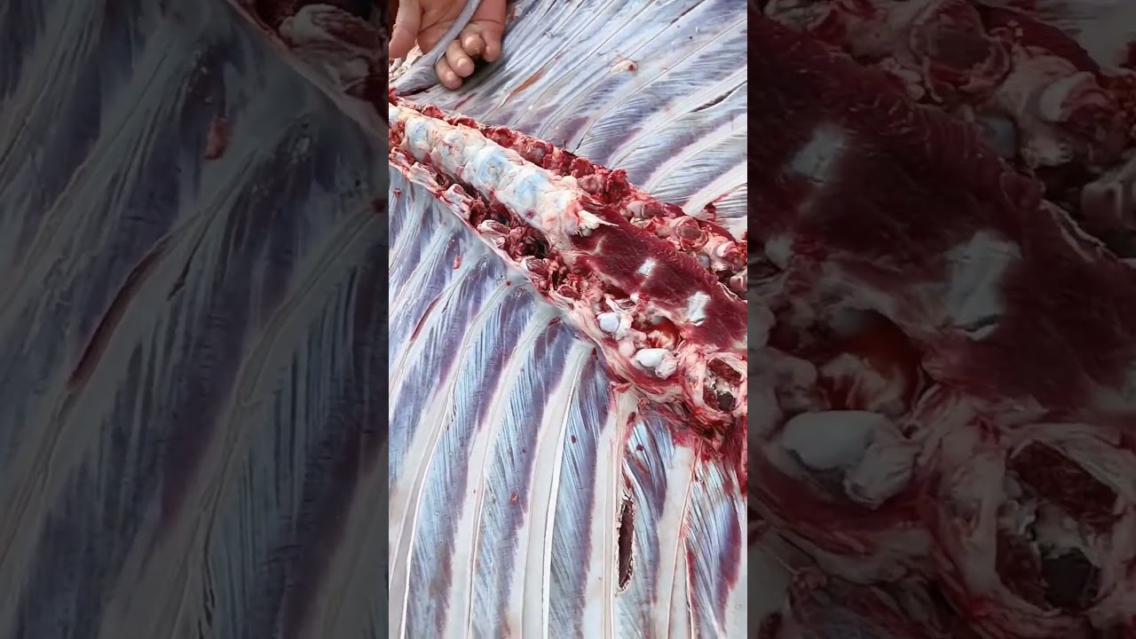 #Donkey meat#Meat cutting skills#Chinese special meat#Popular short videos