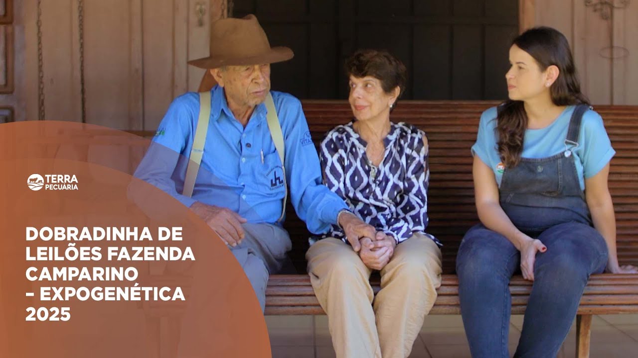 TERRA PECUÁRIA - DOBRADINHA DE LEILÕES  FAZENDA CAMPARINO – EXPOGENÉTICA 2025