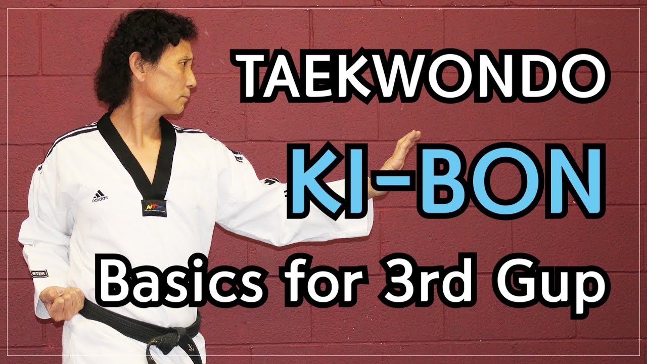 🥋 Taekwondo 3rd Gup Kibon (Basic Blocks and Strikes) | TaekwonWoo