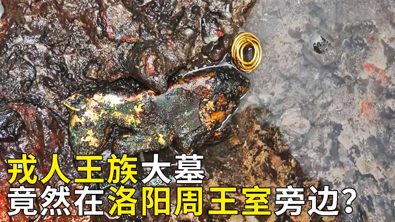 洛阳玉米地惊现神秘大坑 勘察后竟发现2000年前戎人王族大墓！杀死周人先王的陆浑戎为何会出现在周王室身旁？——《奥秘2023》（29） | 中华国宝
