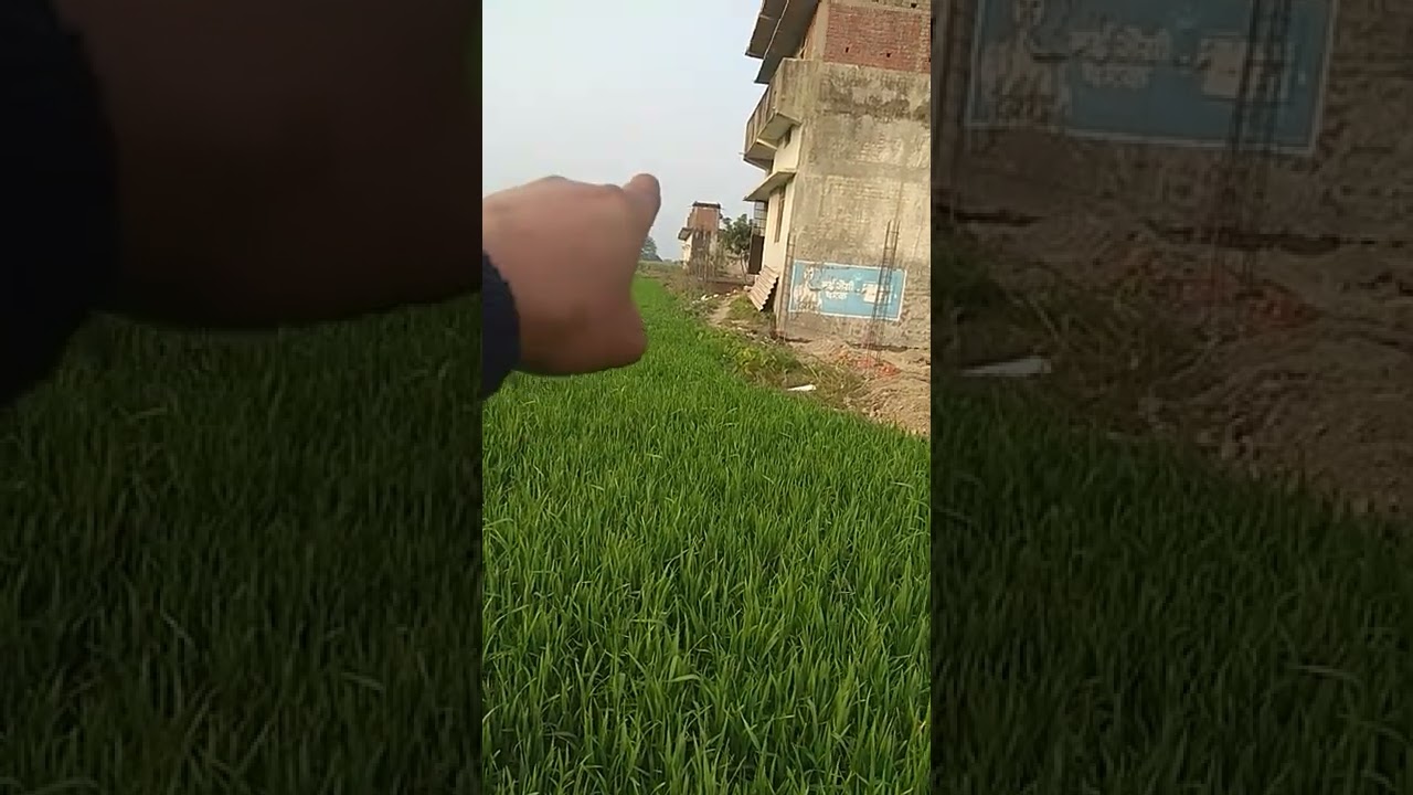 Kasia me plot ।। cheapest plot in Kushinagar।। Kushinagar International Airport।।